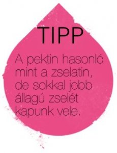 tipp5